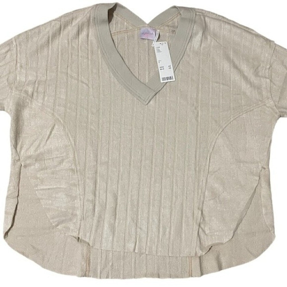 Urban Outfitters V Neck Sweater Neutral Soft Knit Pullover Relaxed Fit Small - Picture 4 of 11